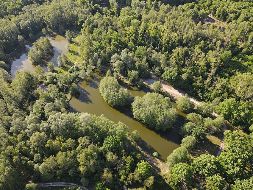 les-etangs-du-domaine