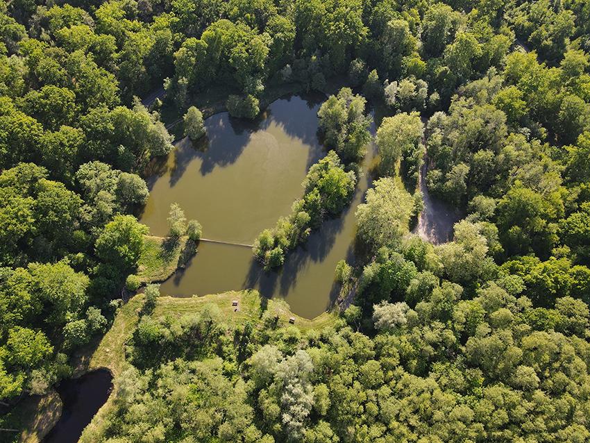 les-etangs-du-domaine