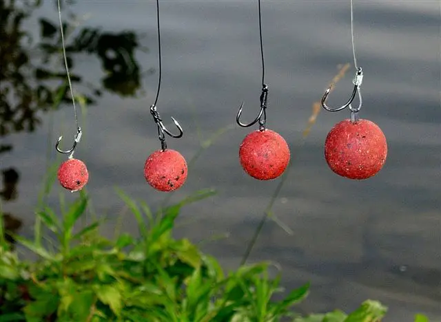 La bouillette est-elle le meilleur appât pour pêcher la carpe