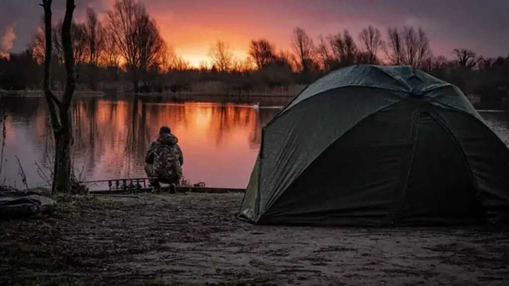 Qu’est-ce que la pêche à la carpe ?